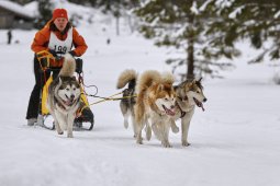 Kandersteg 2014 WM