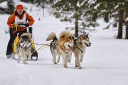 Kandersteg 2014 WM