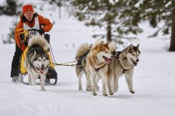 Kandersteg 2014 WM