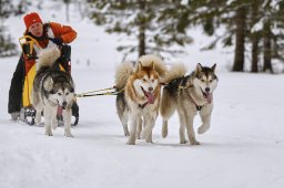 Kandersteg 2014 WM