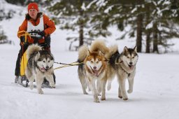 Kandersteg 2014 WM