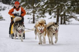 Kandersteg 2014 WM