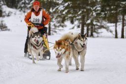 Kandersteg 2014 WM