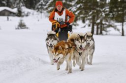 Kandersteg 2014 WM