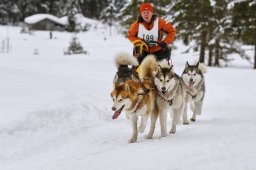 Kandersteg 2014 WM