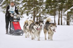 Kandersteg 2014 WM