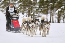 Kandersteg 2014 WM