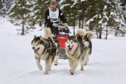 Kandersteg 2014 WM