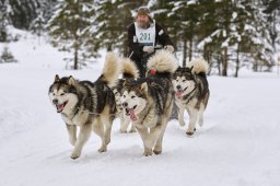 Kandersteg 2014 WM