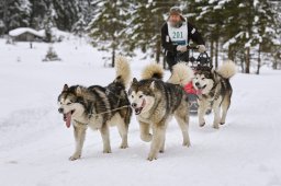 Kandersteg 2014 WM