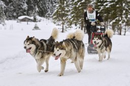 Kandersteg 2014 WM