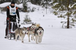 Kandersteg 2014 WM