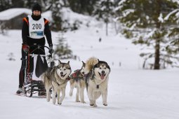 Kandersteg 2014 WM