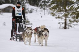 Kandersteg 2014 WM