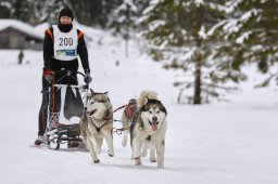 Kandersteg 2014 WM