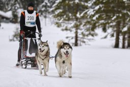 Kandersteg 2014 WM