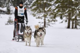 Kandersteg 2014 WM