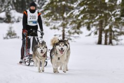 Kandersteg 2014 WM