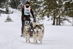 Kandersteg 2014 WM