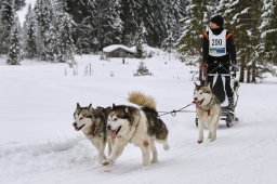 Kandersteg 2014 WM