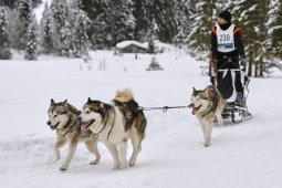 Kandersteg 2014 WM