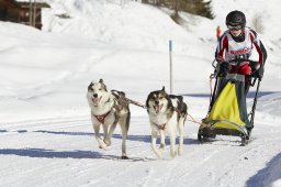 Spluegen 2014