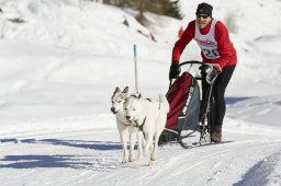 Spluegen 2014