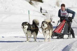 Spluegen 2014