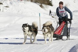 Spluegen 2014