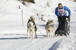 Spluegen 2014