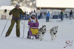 Schlittenphotos &raquo; 2015_Lenk