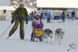 Lenk 2015