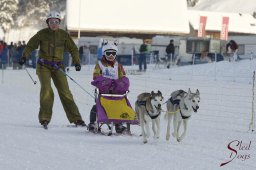 Lenk 2015