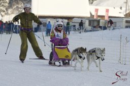 Lenk 2015