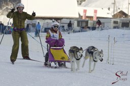 Lenk 2015