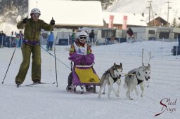 Lenk 2015