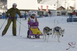 Lenk 2015