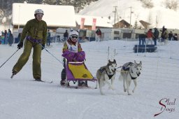 Lenk 2015