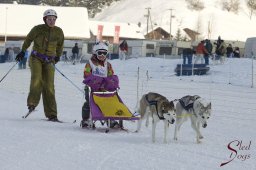 Lenk 2015