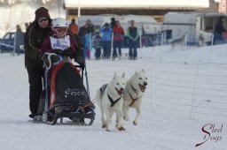 Lenk 2015