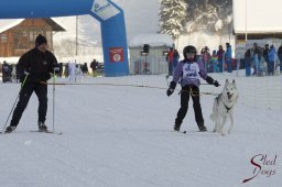 Lenk 2015