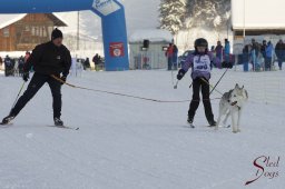 Lenk 2015