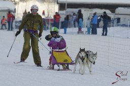 Lenk 2015