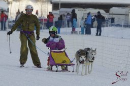 Lenk 2015