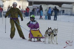 Lenk 2015