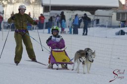 Lenk 2015