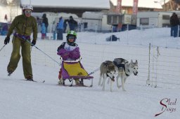 Lenk 2015