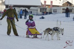 Lenk 2015