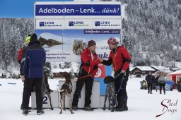 Lenk 2015