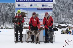 Lenk 2015